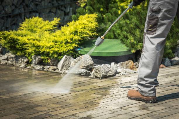 Best House Exterior Washing  in Garden City, MI