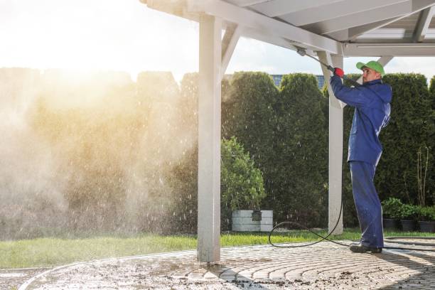 Best Building Exterior Washing  in Garden City, MI