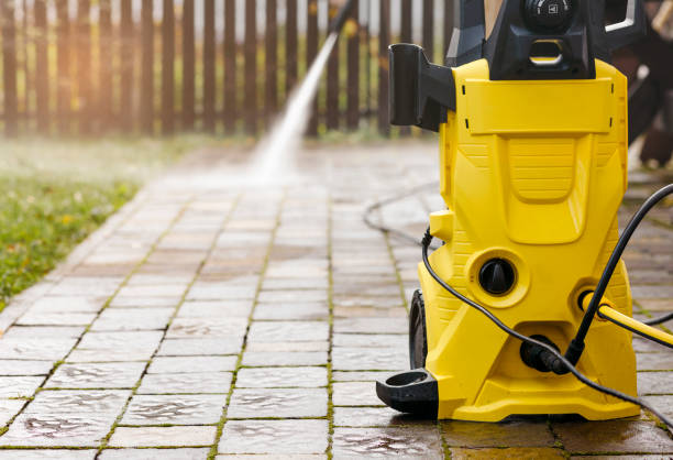 Best Gutter Cleaning  in Garden City, MI